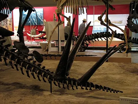thagomizer: an arrangement of spikes found on the tails of various stegosaurs