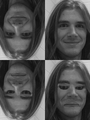 thatcher effect: the phenomenon whereby it is more difficult to detect local feature changes in an upside-down face,...