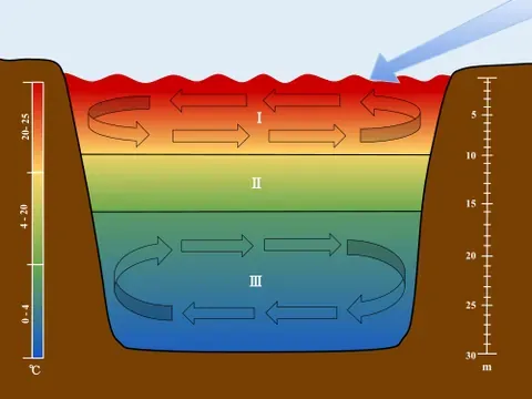 thermocline: a layer within a body of water or air where the temperature changes rapidly with depth