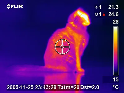 thermogram: the graphical record produced during thermography; a temperature map of the surface of a body