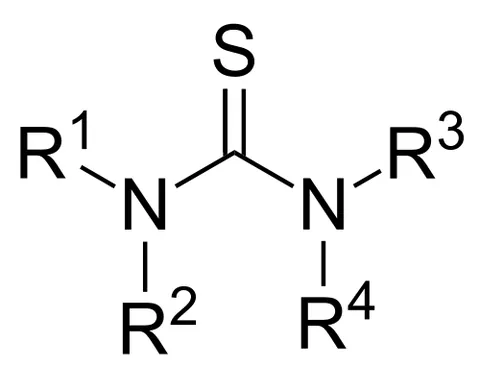 thiourea: any of a class of compounds based on NH₂-CS-NH₂, formally derived from urea by replacing the oxygen...