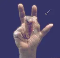 thirty: the cardinal number occurring after twenty-nine and before thirty-one, represented in Arabic...