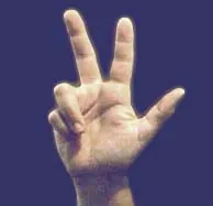 three: a numerical value equal to 3; the number following two and preceding four