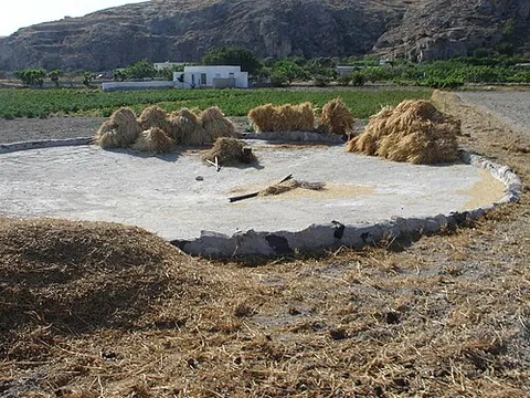 threshing floor: the floor of a threshing house or similar area where grain is threshed