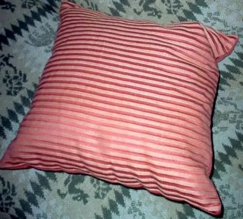 throw pillow: a small pillow, usually sealed, usually placed on a chair or sofa and used primarily for decoration...