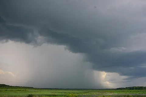 thundershower: a rain shower accompanied by thunder and lightning