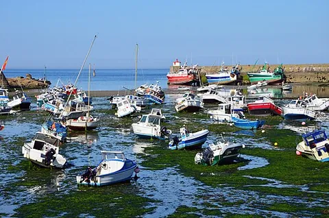 tide: the daily fluctuation in the level of the sea caused by the gravitational influence of the moon and...
