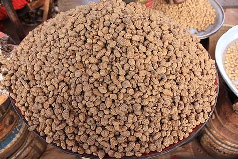 tiger nut: the edible tuber of chufa (Cyperus esculentus)
