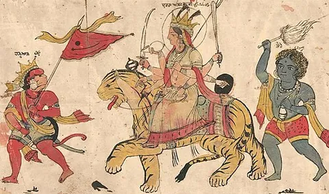 tigerback: the back of a tiger (being ridden, or laden with luggage, as a means of transportation)