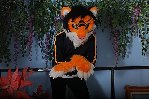 tigersona: a fursona that is a tiger