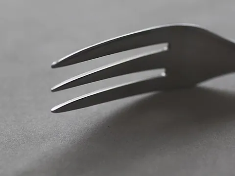 tine: a spike or point on an implement or tool, especially a prong of a fork or a tooth of a comb