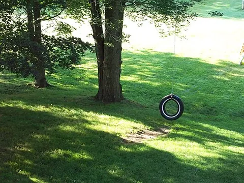 tire swing: a swing (hanging seat) using a tire as the seat, which may be considered a children's toy,...