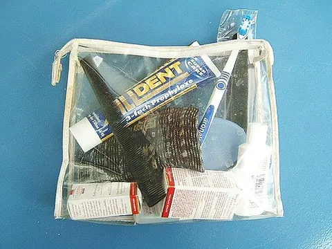 toilet bag: synonym of washbag