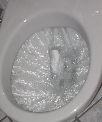 toilet bowl: receptacle designed to receive the dejections of humans