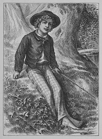 tom sawyer: the Adventures of Tom Sawyer, a popular 1876 novel by Mark Twain about a young boy growing up in...