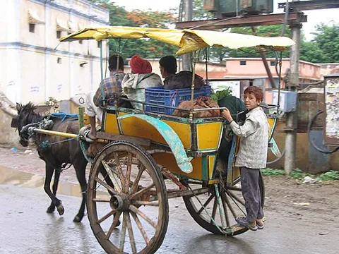 tonga: a light, two-wheeled, horse-drawn carriage used for transportation in India, Pakistan, and...