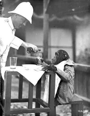 topee: a pith helmet