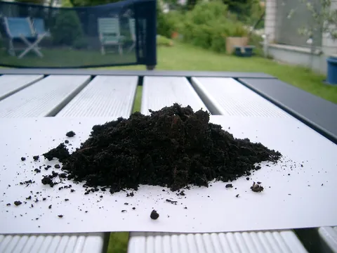 topsoil: the upper layer of soil, typically most fertile and in which it is the easiest to start new plants