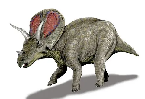 torosaurus: any member of the genus †Torosaurus of herbivorous dinosaurs