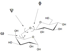 torsion angle: in a chain of atoms A-B-C-D, the dihedral angle between the plane containing the atoms A,B,C and...