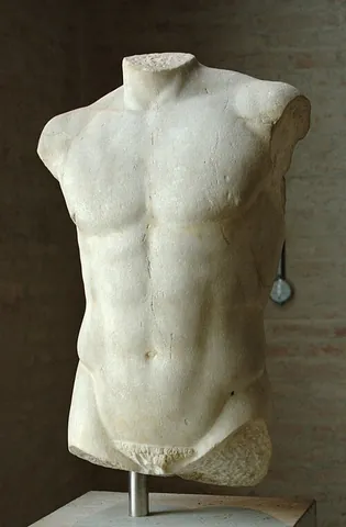 torso: the main part of the (human) body that extends from the neck to the groin, excluding the head and...