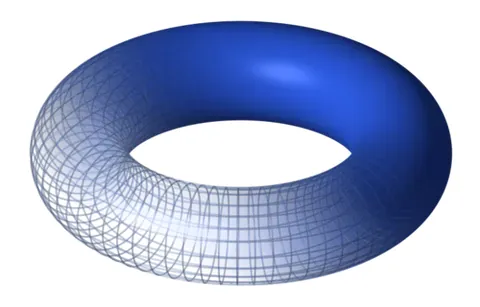 torus: a topological space which is a product of two circles