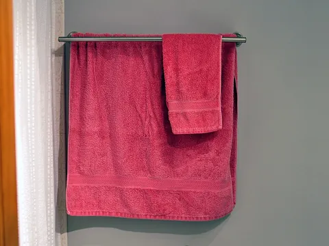 towel: a cloth used for wiping, especially one used for drying anything wet, such as a person after a bath