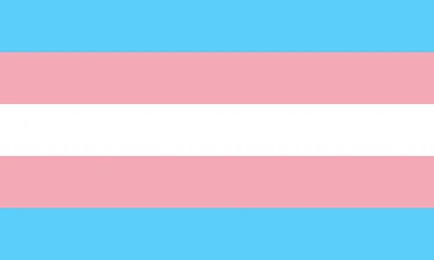transgender: of a person: having a gender (identity) which is different from one's assigned sex; that is, the...