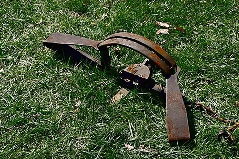 trap: a machine or other device designed to catch (and sometimes kill) animals, either by holding them in...