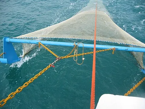 trawlnet: a kind of fishing net for trawling; a trawl