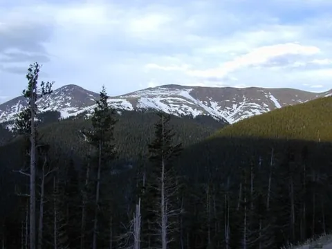 tree line: a division in altitude (or latitude) above which trees tend not to grow on mountains