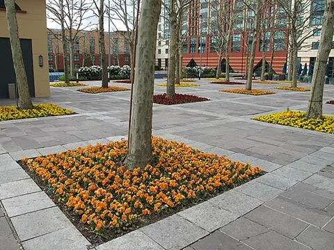 tree pit: an underground soil area for tree roots (often with root barriers to direct roots downwards), and...