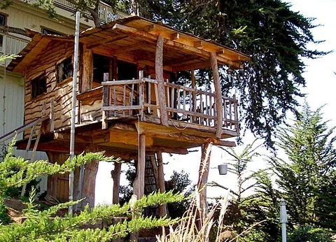 treehouse: a house, or similar structure within a tree, or several trees, built with light materials