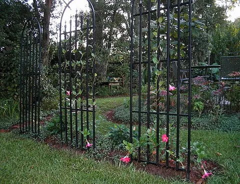 trellis: an outdoor garden frame that can be used for partitioning a common area