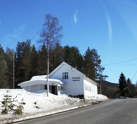 treungen: a village in Nissedal municipality, Telemark county, Norway
