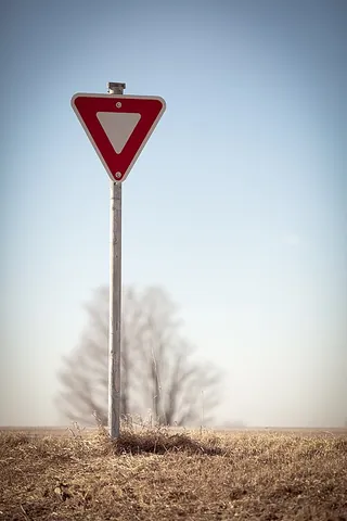 triangular: shaped like a triangle