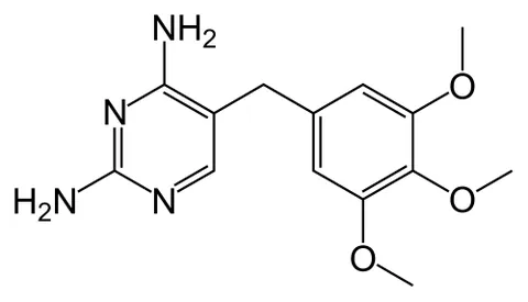 trimethoprim: a synthetic antibiotic used to treat malaria and respiratory and urinary infections (usually in...