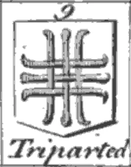 triparted: divided into three pieces