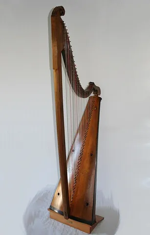 triple harp: a type of multi-course harp employing three parallel rows of strings instead of the more common...