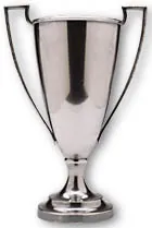 trophy: an object, usually in the form of a statuette, cup, or shield, awarded for success in a competition...