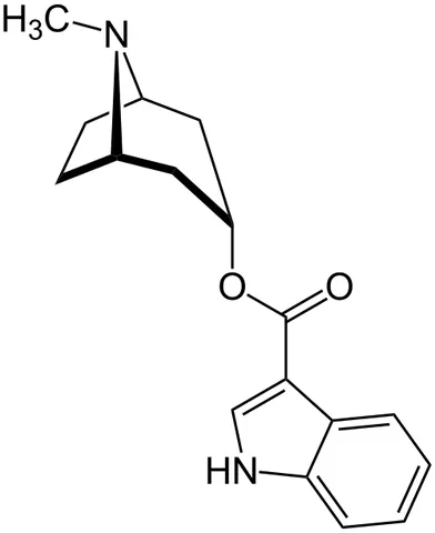 tropisetron: a serotonin 5-HT₃ receptor antagonist used mainly as an antiemetic to treat nausea and vomiting...