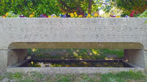 trough: a long, narrow container, open on top, for feeding or watering animals