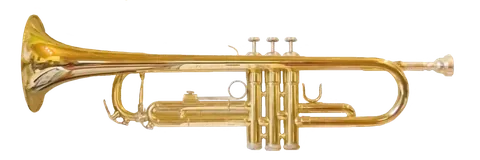trumpet: a musical instrument of the brass family, generally tuned to the key of B-flat; by extension, any...