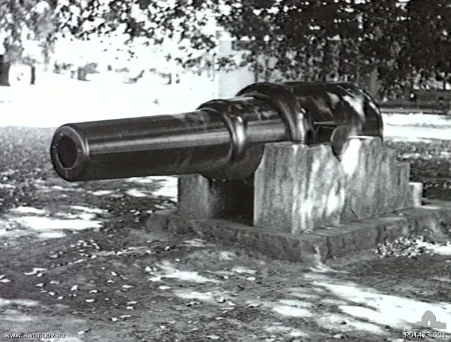 trunnion: one of the short stubby bearings on either side of a cannon; a pintle