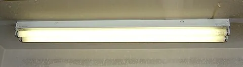 tubelight: synonym of fluorescent lamp (“a gas-discharge lamp that uses fluorescence to produce visible light,...