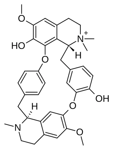 tubocurarine: the cation portion of tubocurarine chloride