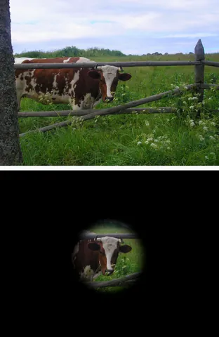 tunnel vision: a restricted field of vision, especially as the result of looking through some type of object or a...
