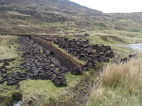 turbary: peatland from which peat or turf may be cut for fuel; (countable) a piece of such land; a peat bog