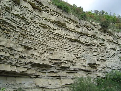 turbidite: any sedimentary deposit formed by a turbidity current