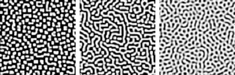 turing pattern: a pattern, found in nature, that arises naturally and autonomously from a homogeneous, uniform...
